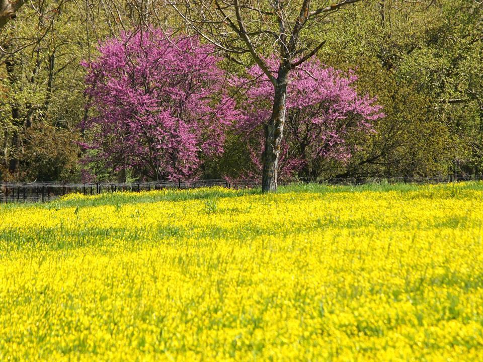 Livadaki Village Megali Kapsi ภายนอก รูปภาพ