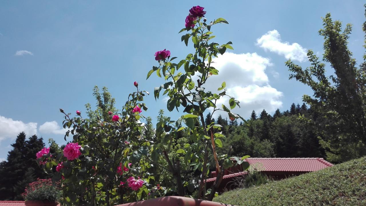 Livadaki Village Megali Kapsi ภายนอก รูปภาพ